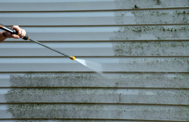Best Animal Enclosure Cleaning  in Ansonia, OH